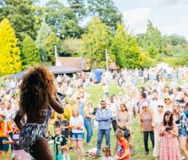 Tunbridge-Wells-Mela-2024-18